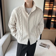 Arnau | Cárdigan de Punto Trenzado Hombre Cuello Alto Botones